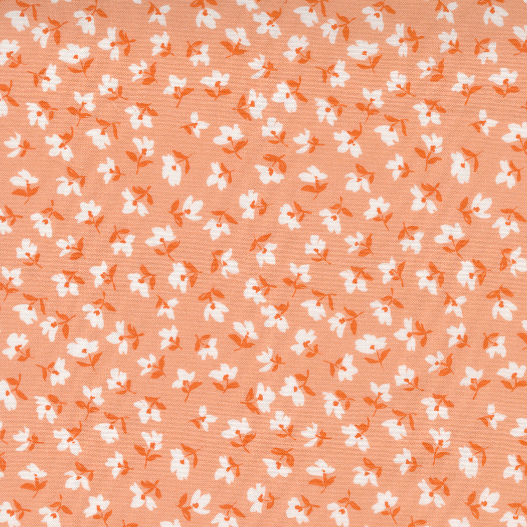 Paisley Rose 511885-16