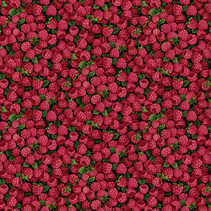 Farmer John Garden Party 120-13331 Raspberry