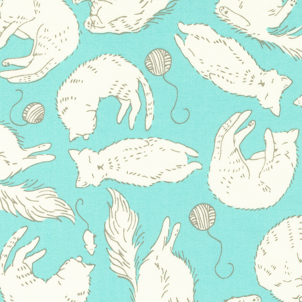 Here Kitty Kitty 520832-19