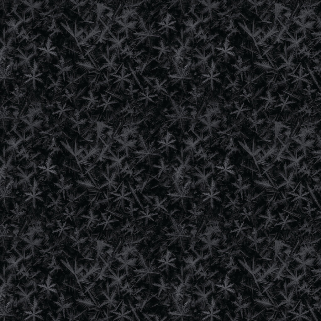 Strokes of the Wild 21231202-02 Black