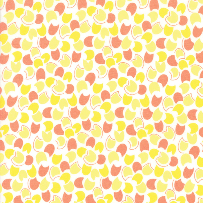 Fiddle Dee Dee 522386-12