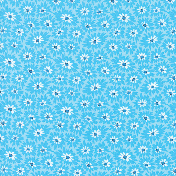 Fiddle Dee Dee 522386-12