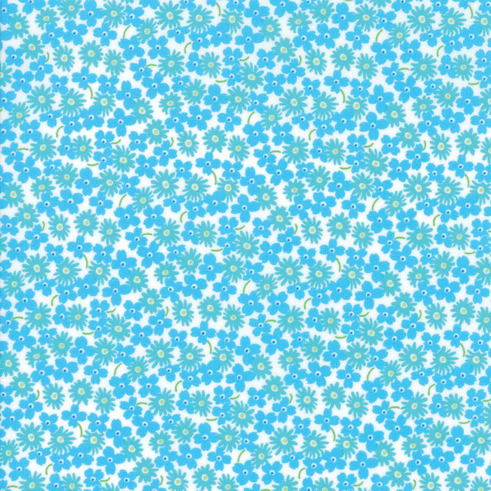 Fiddle Dee Dee 522387-18