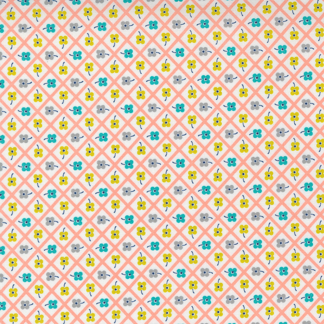 Morning Light 523345-17