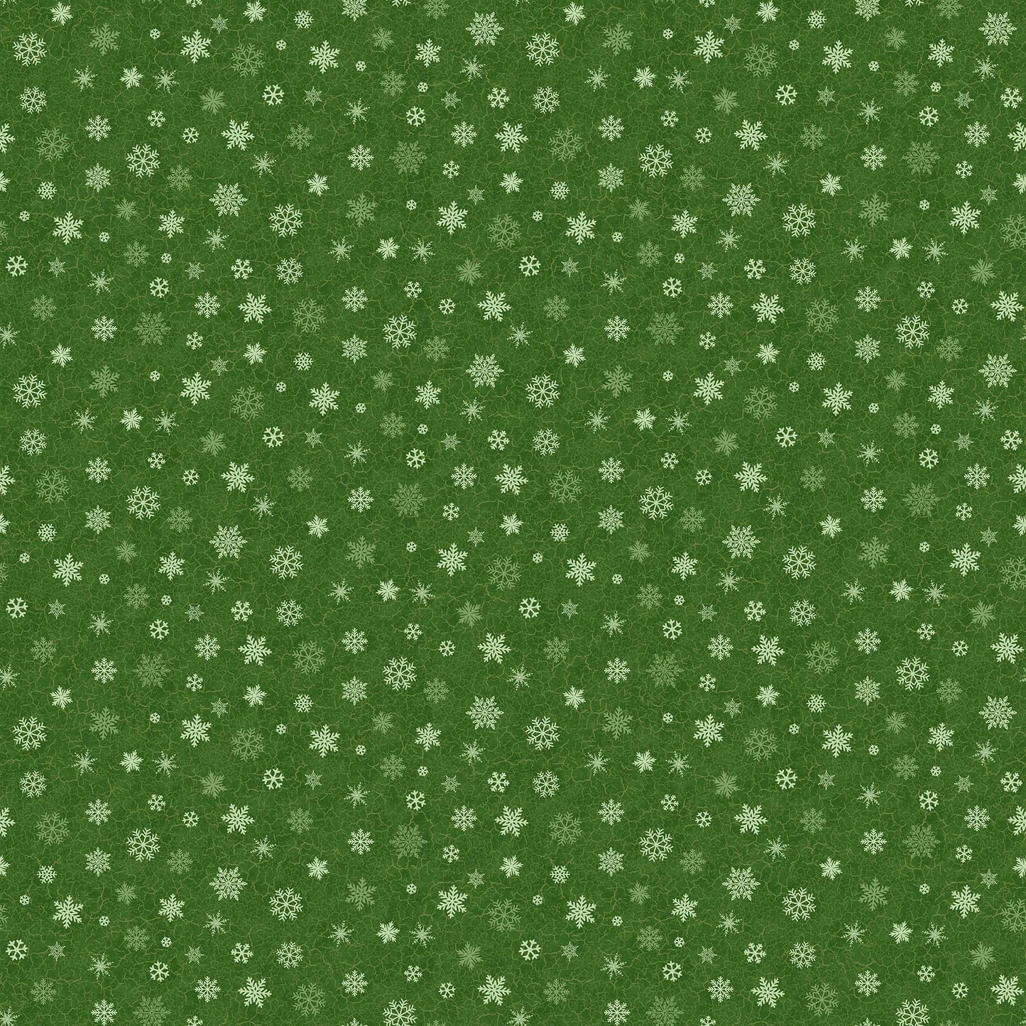 Beary Merry Christmas 27063-74