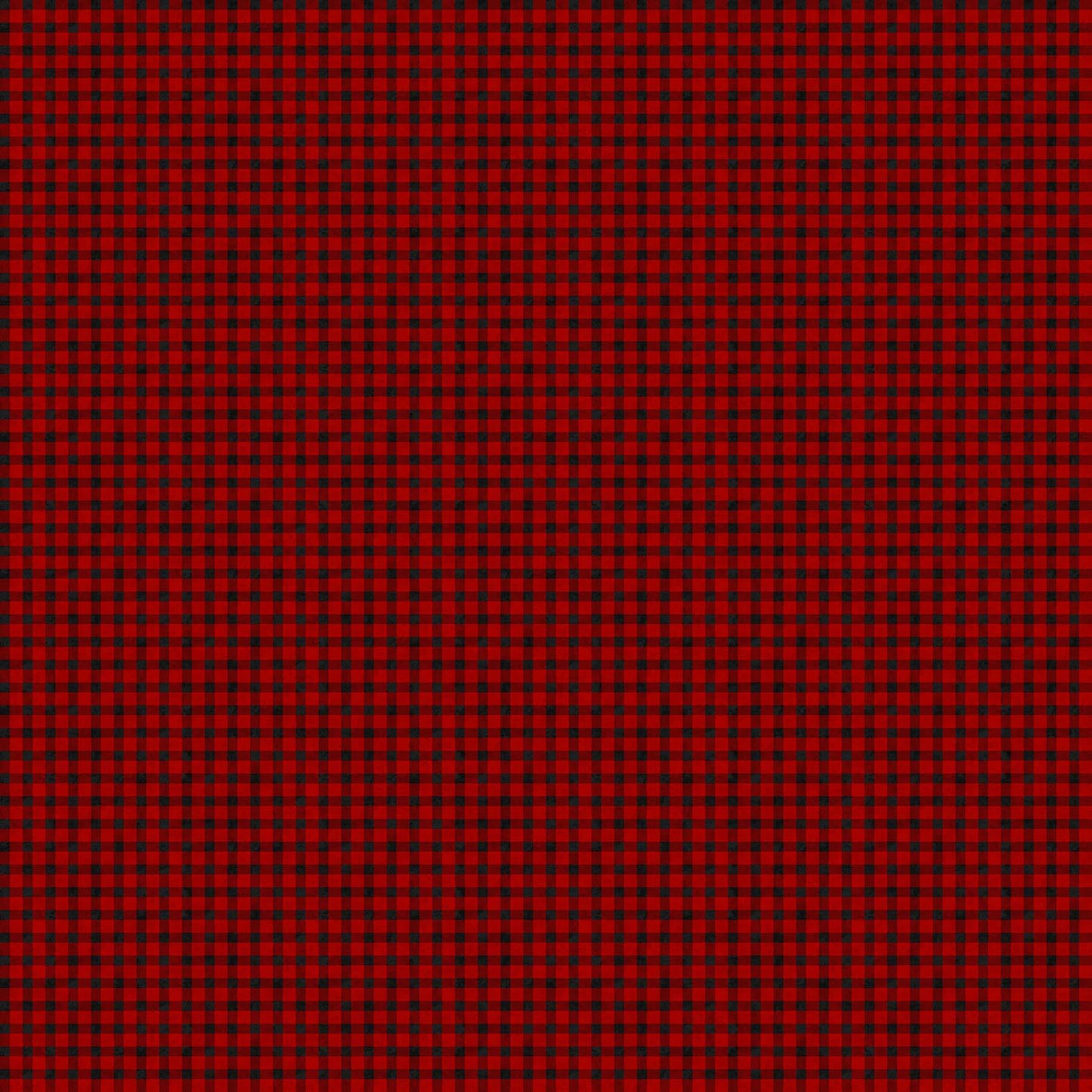 Beary Merry Christmas 27065-24