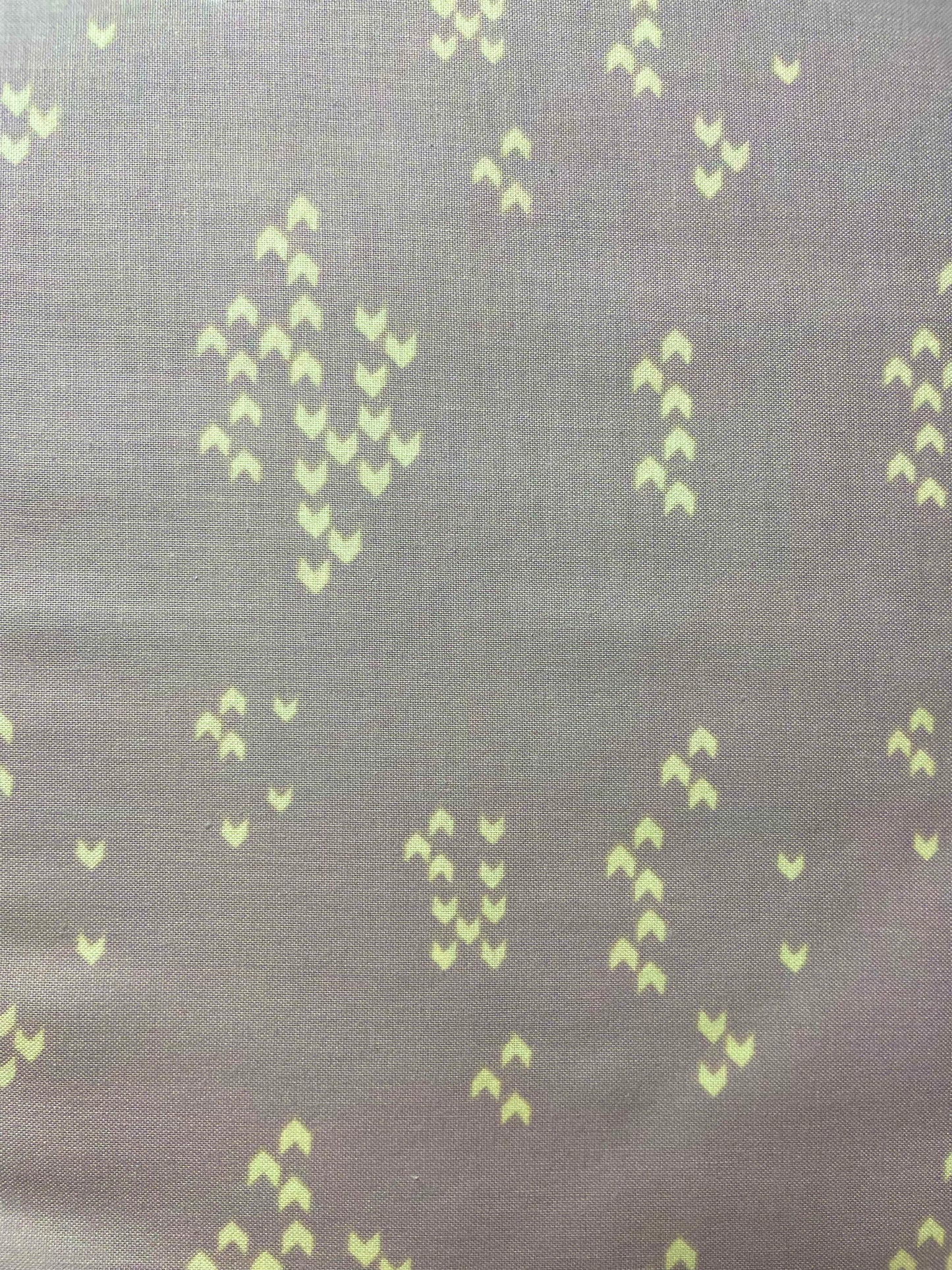 Scout Lake 304205-21