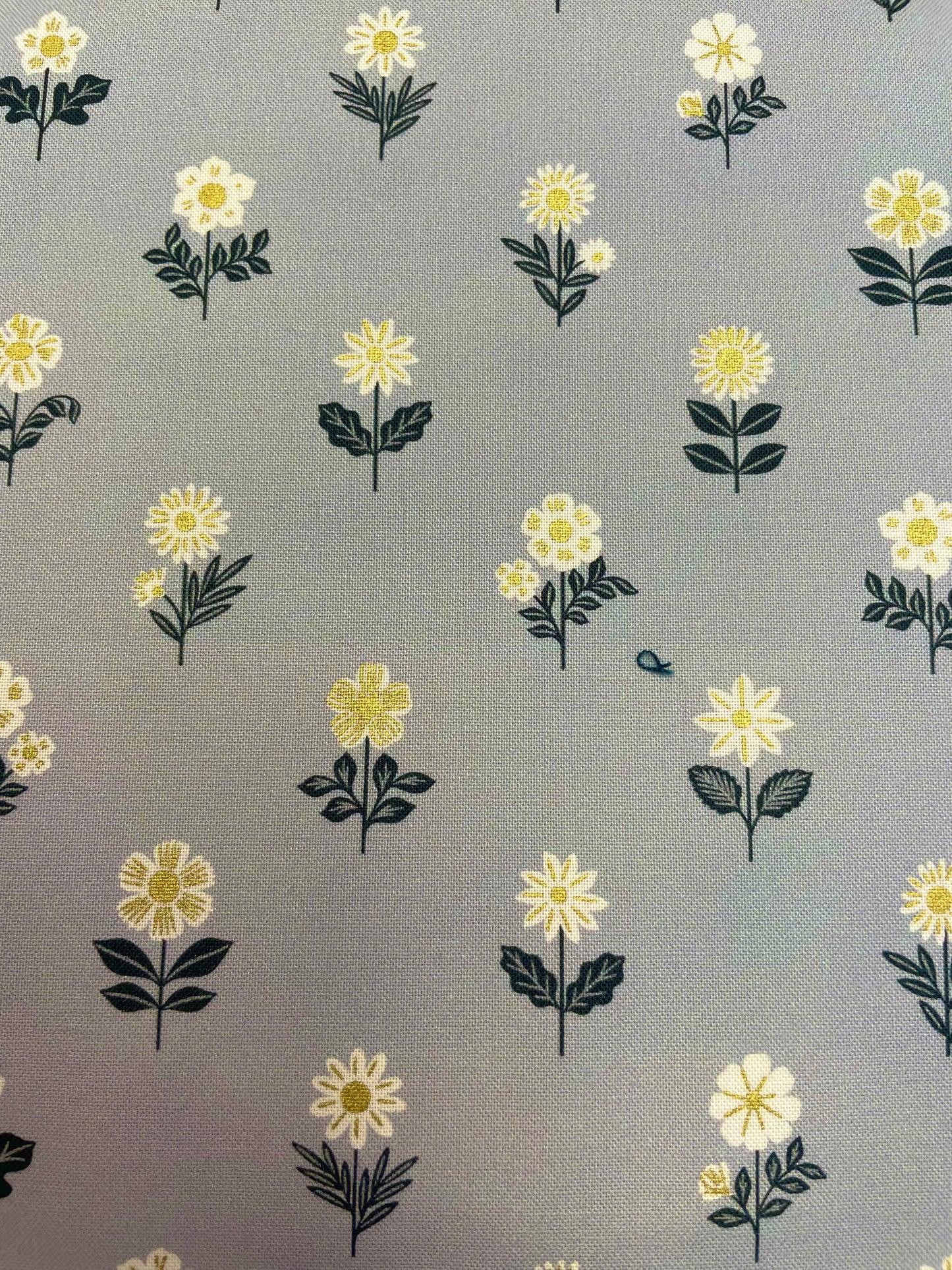 Early Twilight 304211-01