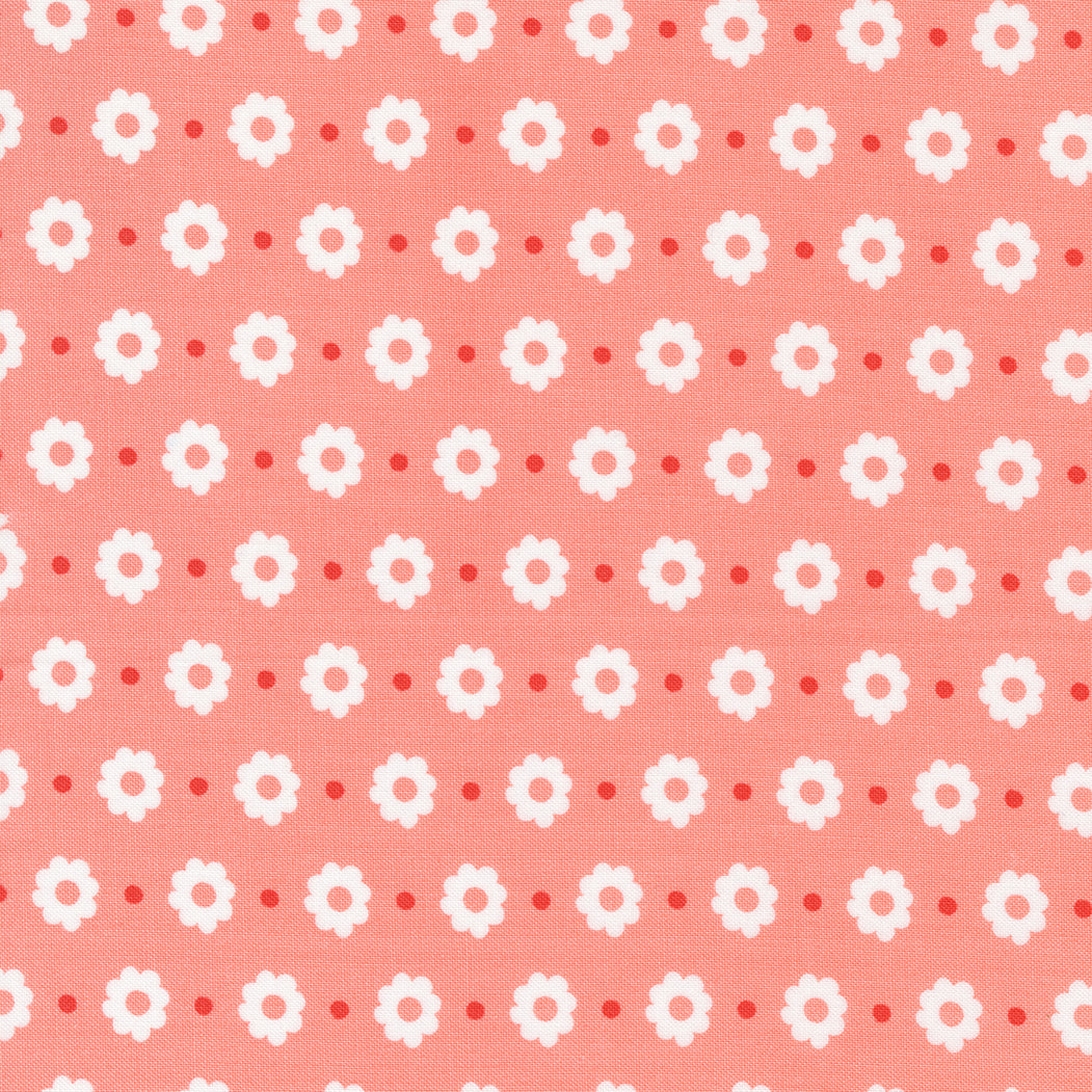 Simply Delightful 537640-25