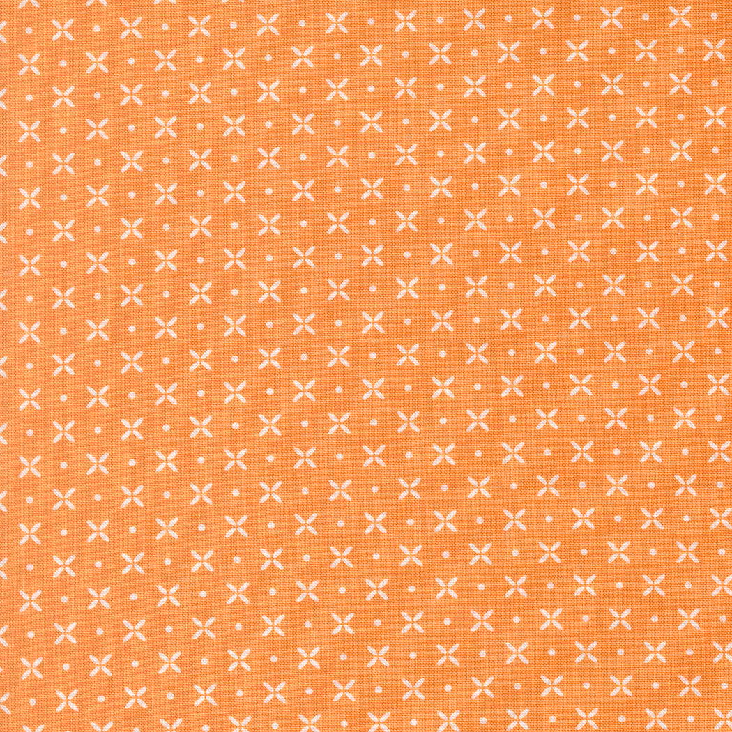 1 METER CUT Laguna Sunrise 537686-19 Orange