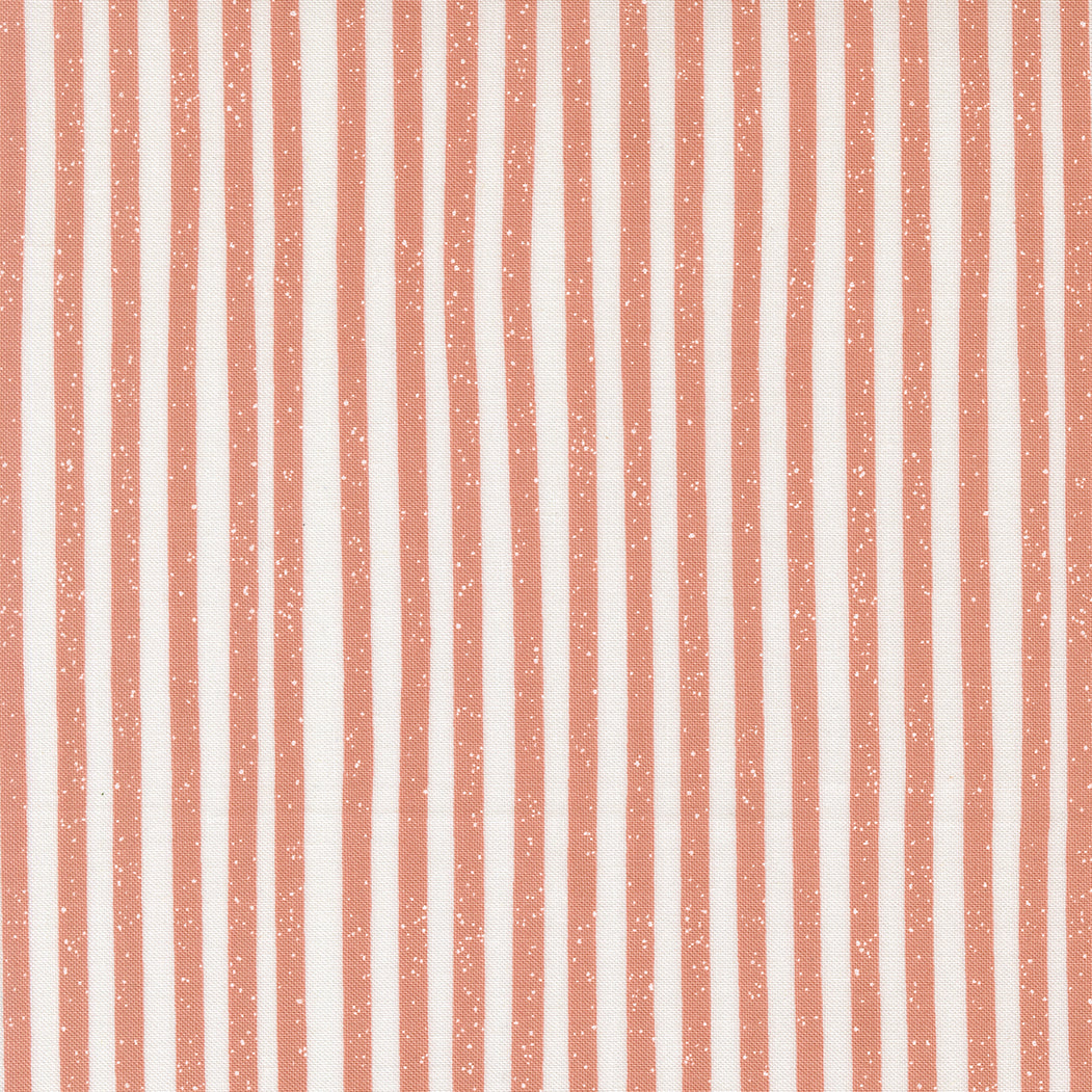 Blossom and Blooms 539054 36 Petal