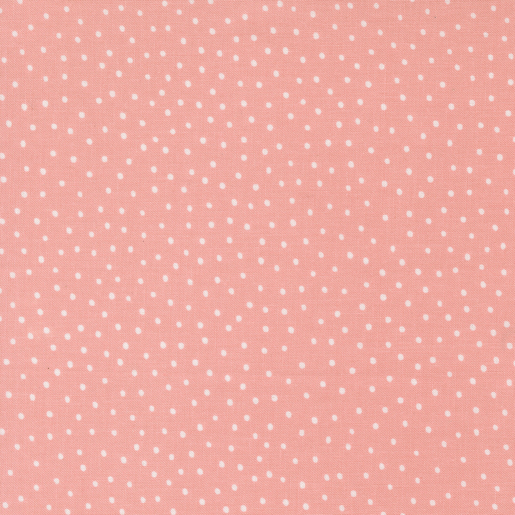 Blossom and Blooms 539056 15 Petal