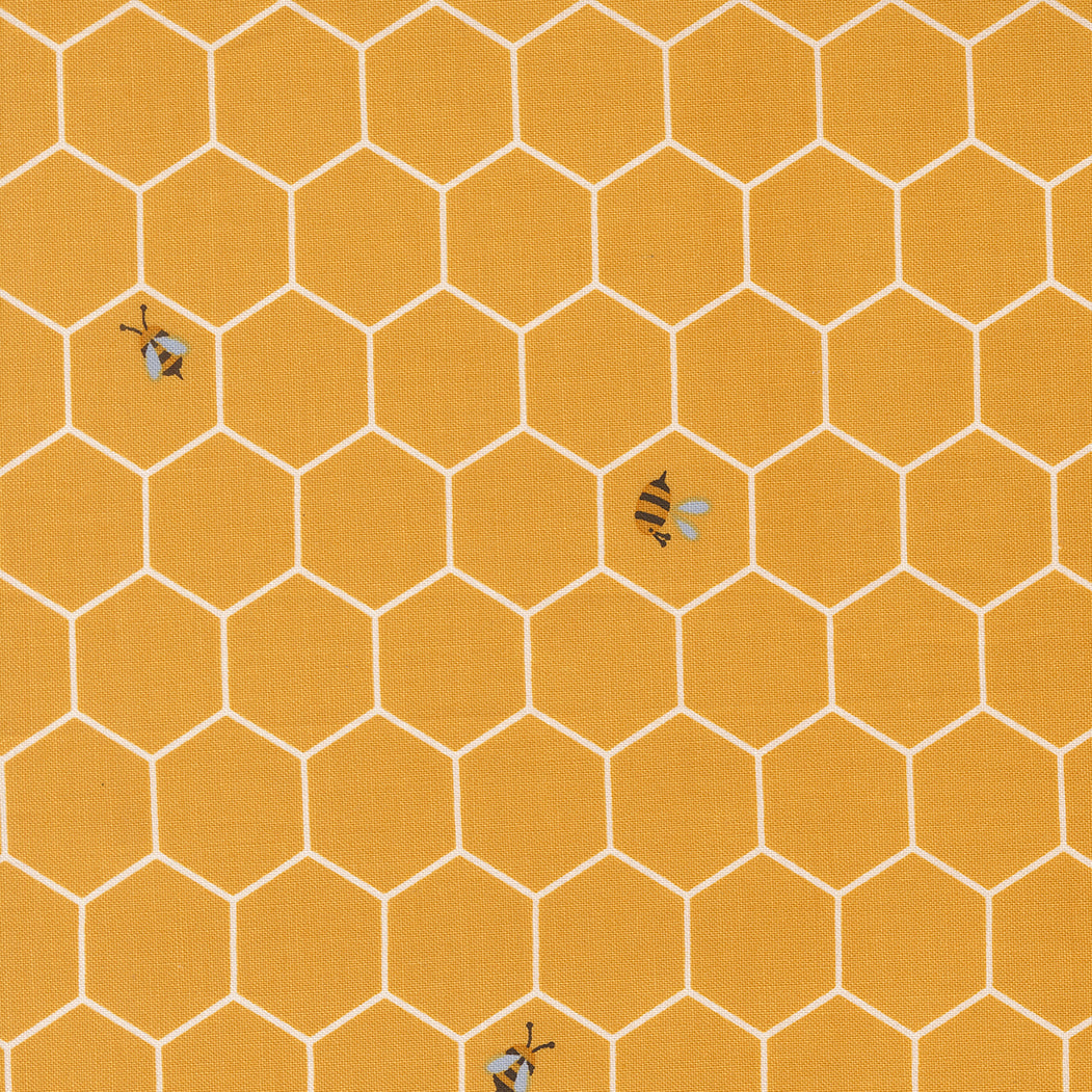 Blossom and Blooms 539057 18 sunshine