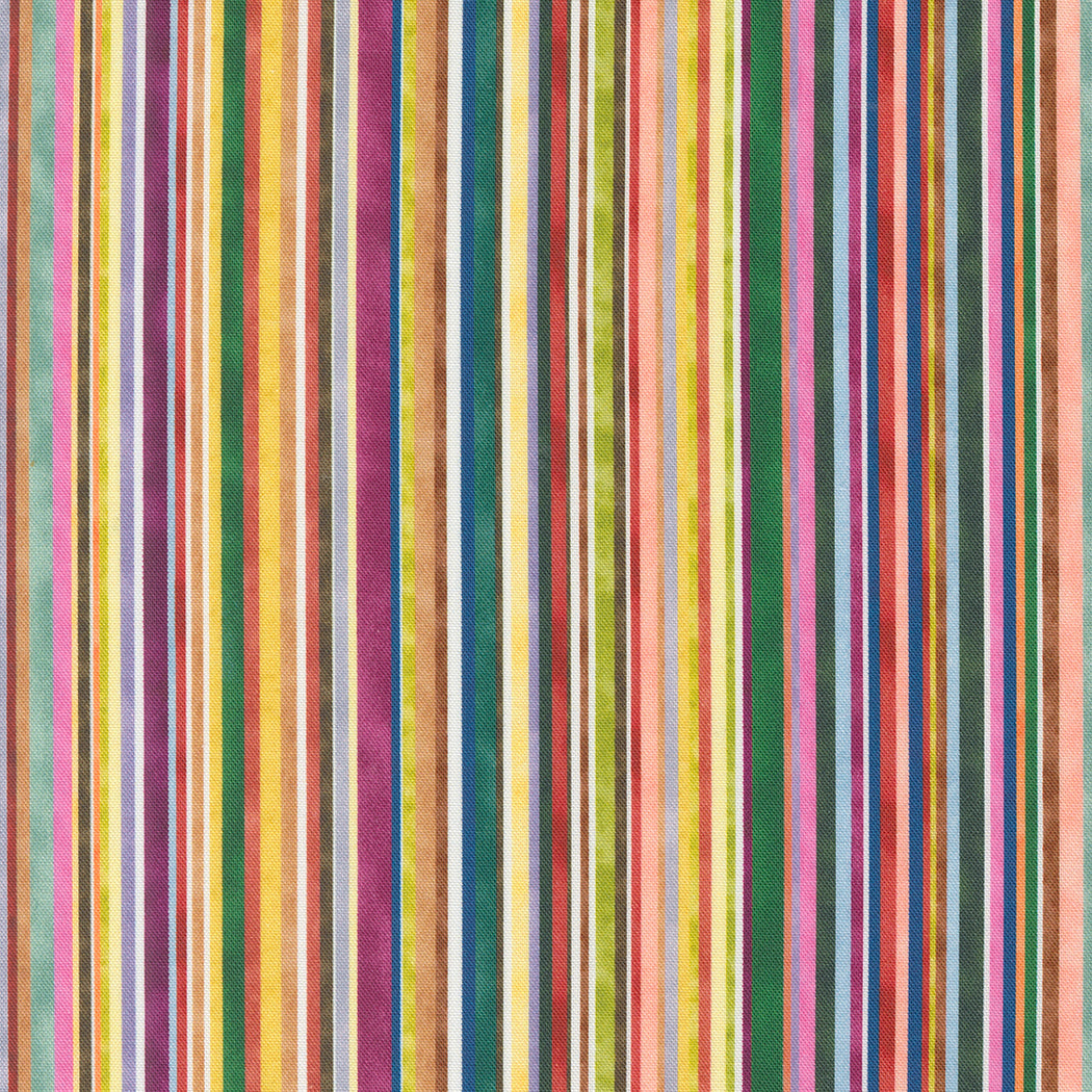Floribunda 539811-11 Rainbow