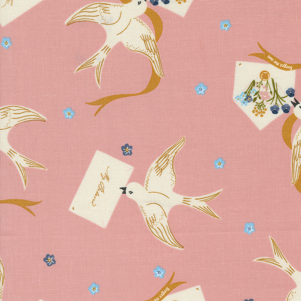 Enchantment 543171-16 Blush