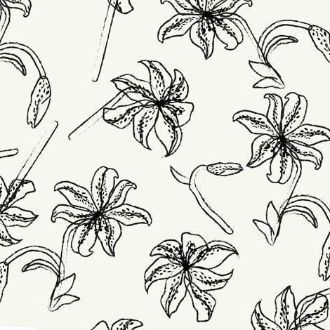 1 Meter Cut Flower Sketches