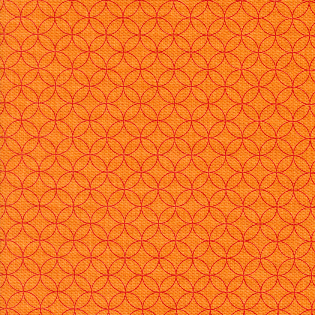 Rainbow Spice 545042-31 Pumpkin