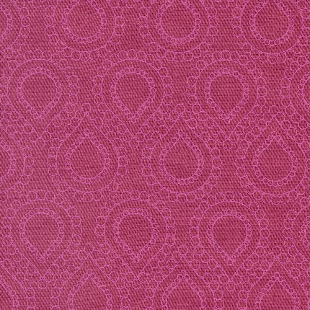 Rainbow Spice 545046-14 Aster