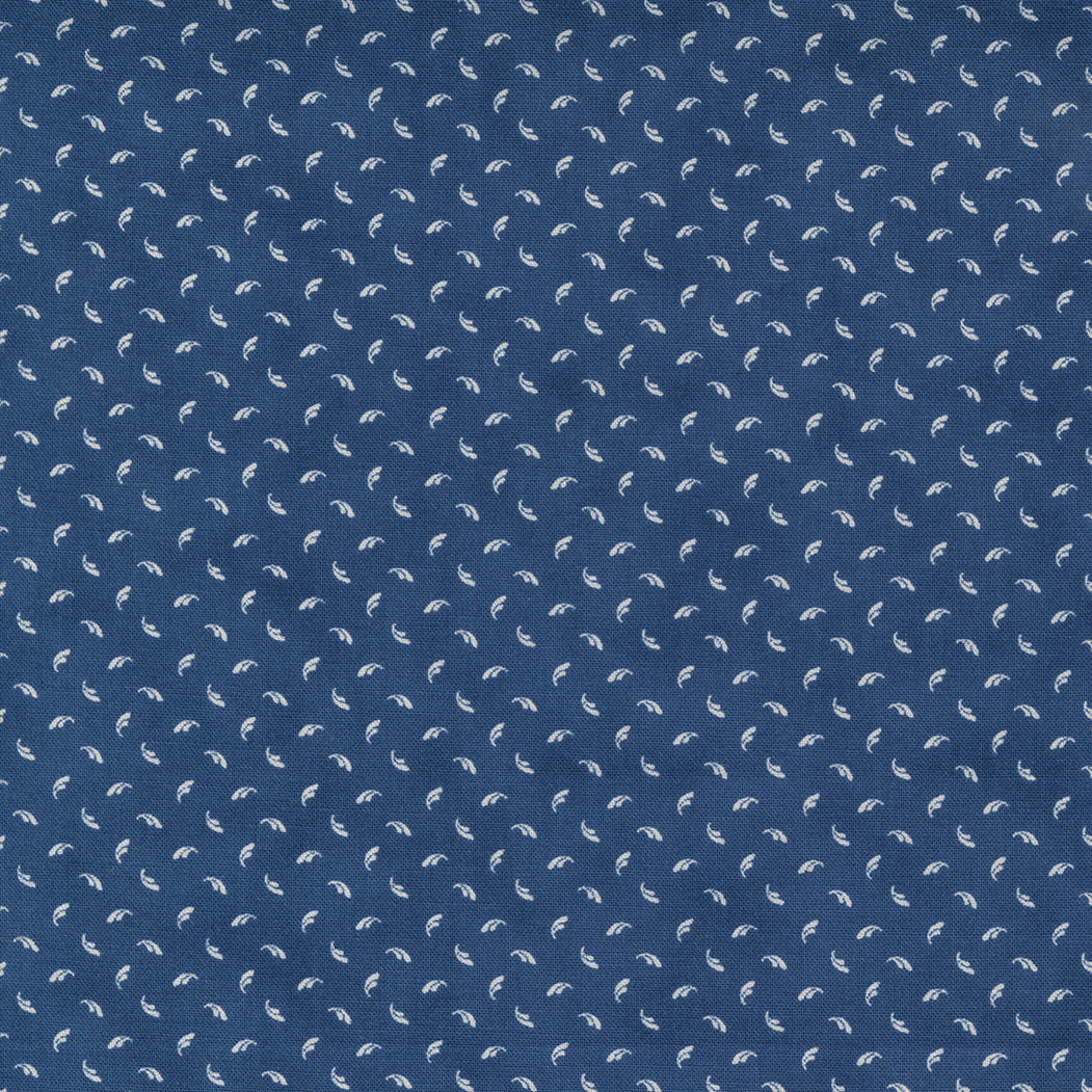 Starlight Gatherings 549164-14