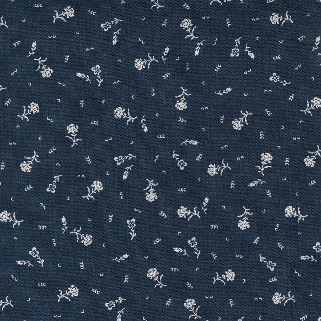 Starlight Gatherings 549165-11