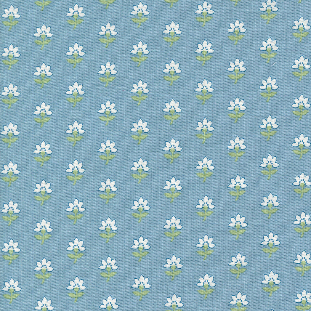 Shoreline 55301-12 Light Blue