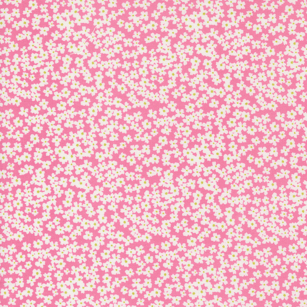 Shine 55672 13 Lollipop
