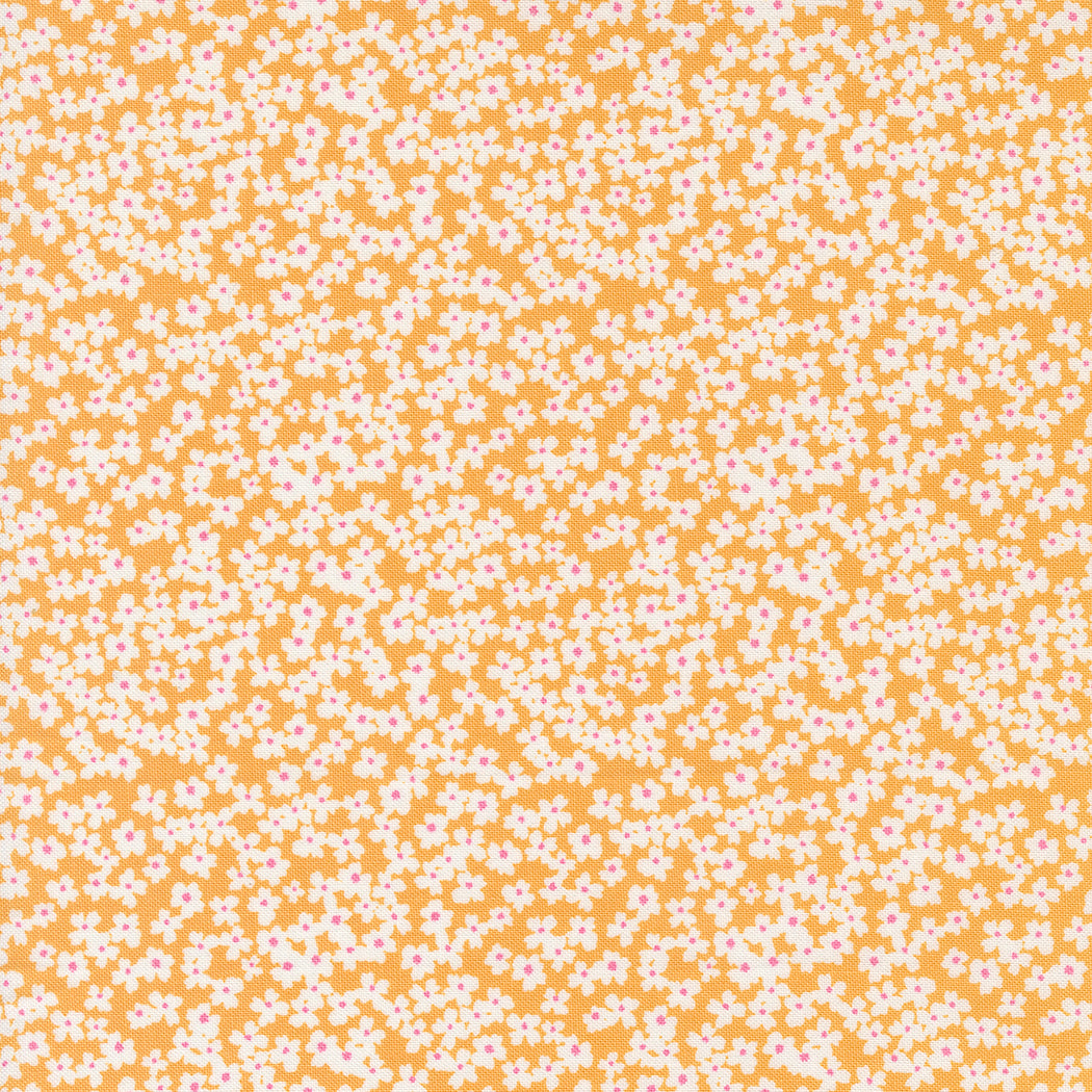 Shine 55672 15 Orangesicle