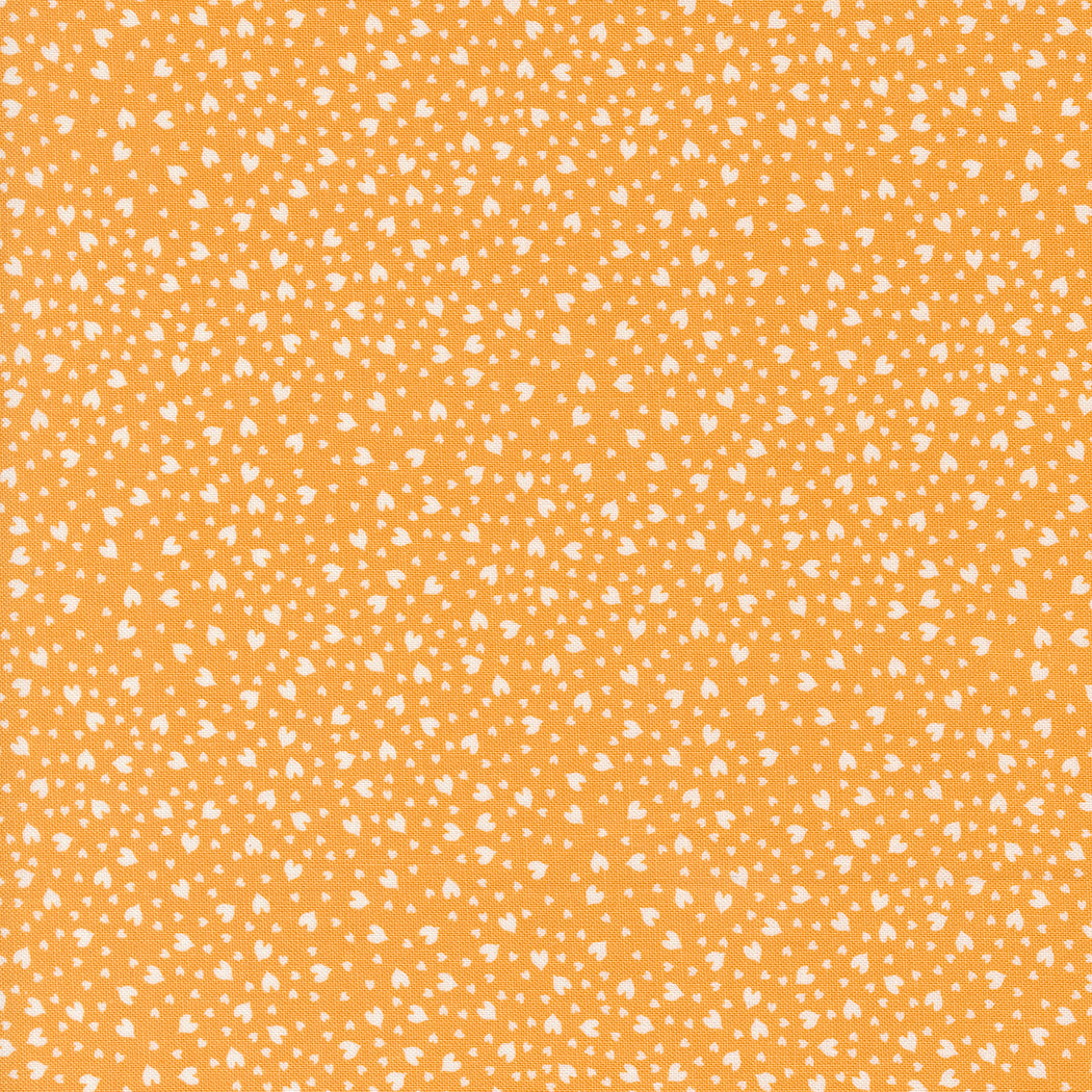 Shine 55675-15 Orangesicle