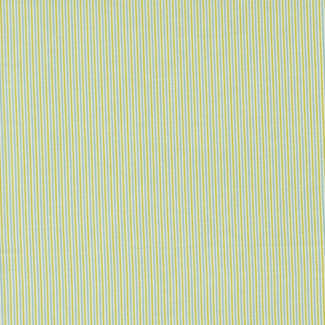 Shine 55677 22 Grass