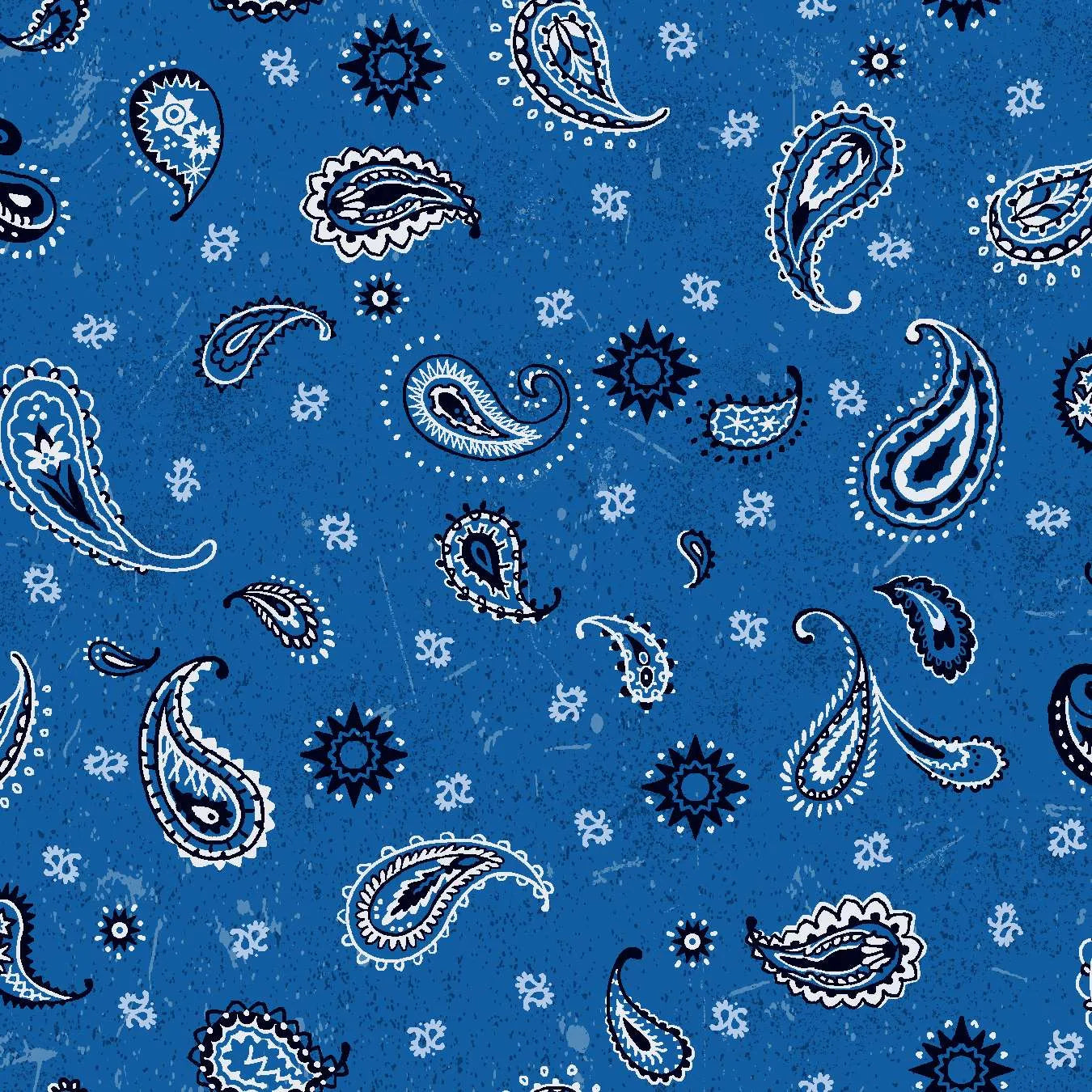 Round Up Bandana Blue OA597931