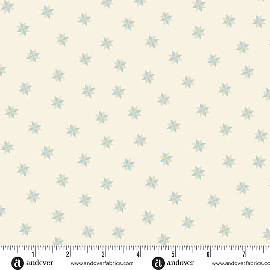 Sewing Bird A 1610 L Shell Le Moyne Star