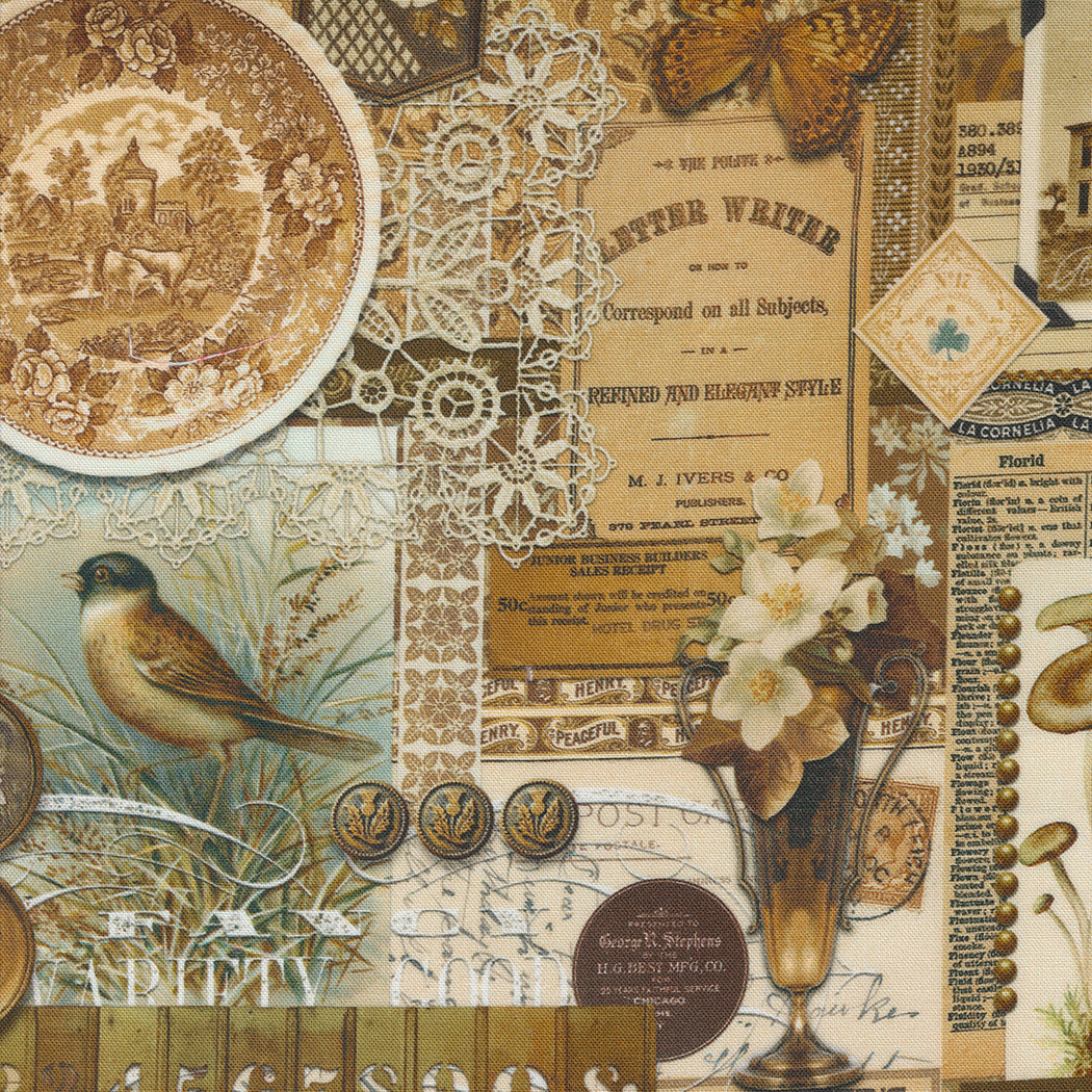 Curated in Color 57460-19