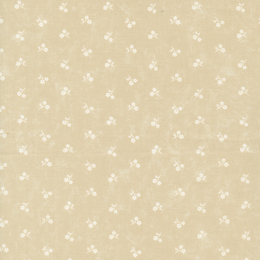 Blackbirds Nest 59755-21