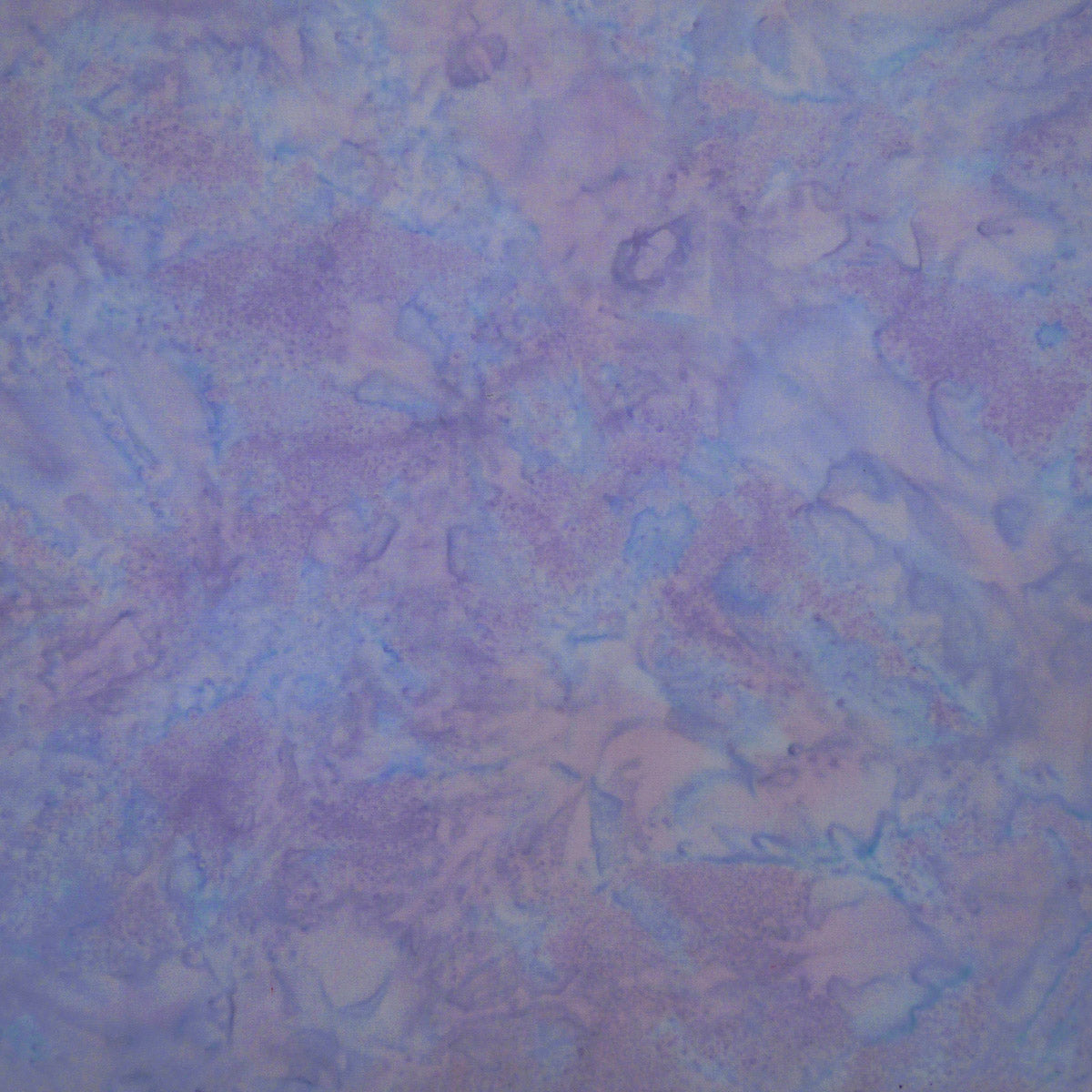 Batik Grape Vine GV 10 6866