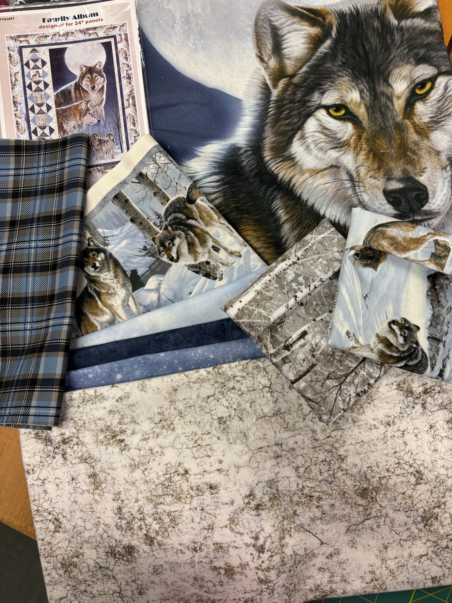 Family Album Quilt Kit
