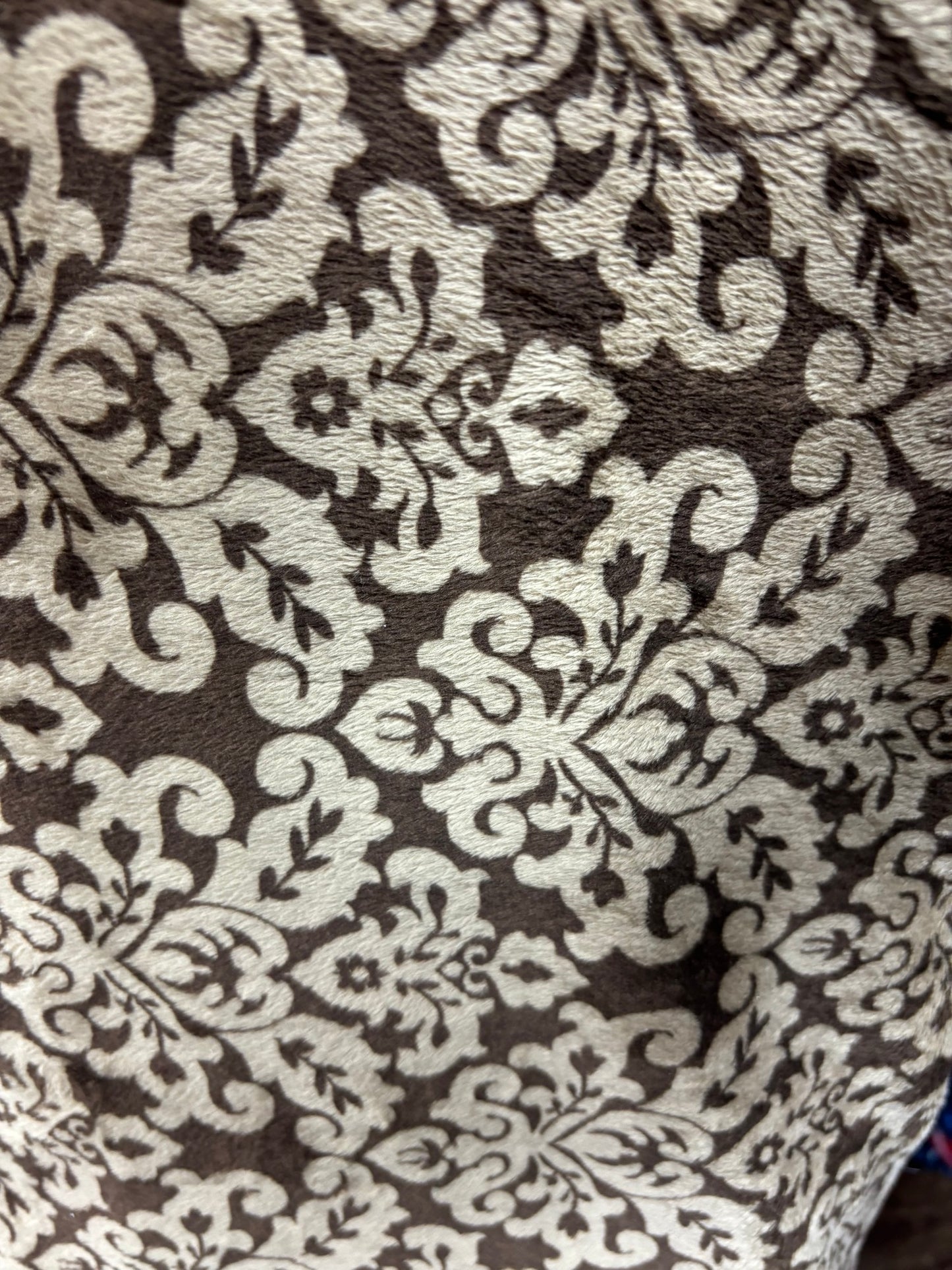 Brown Damask Minky