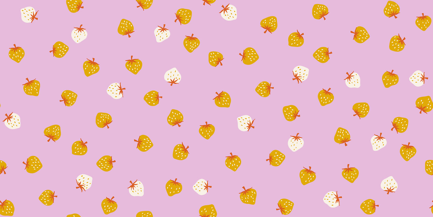 Picture Book 53071-16 Macaron