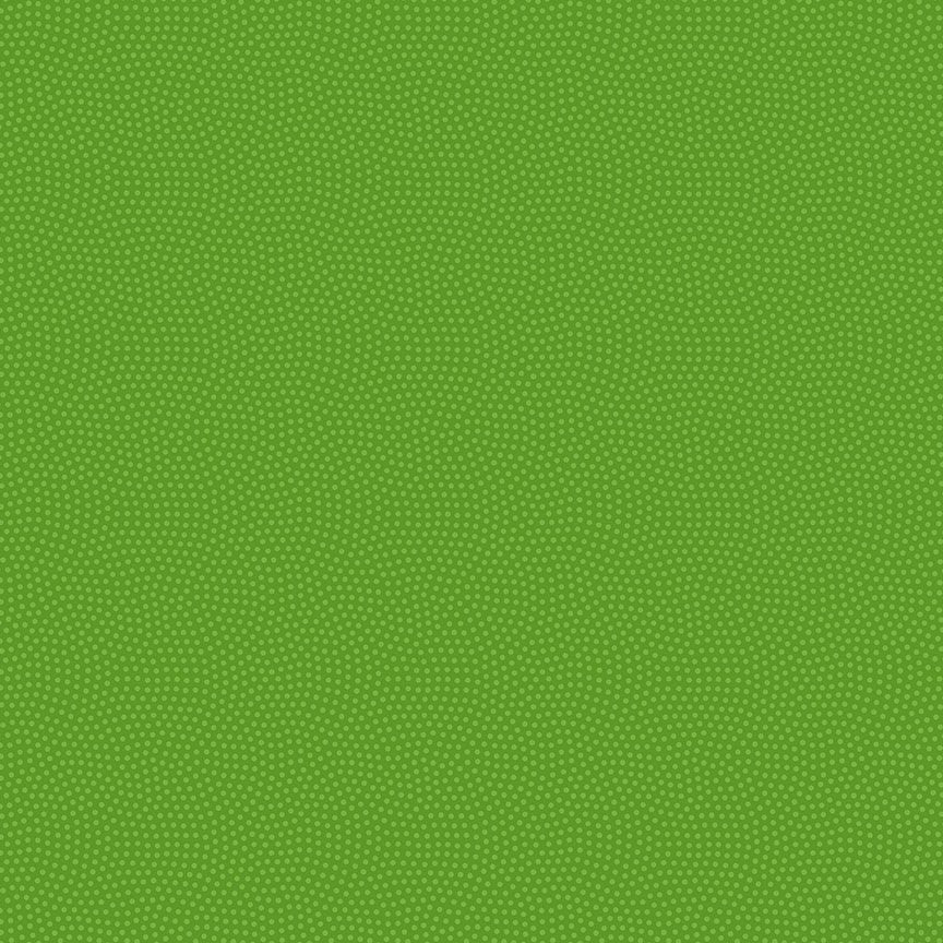 Spin CD5300 Parakeet