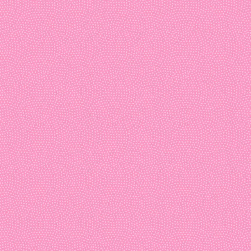 Spin CD5300 Raspberry