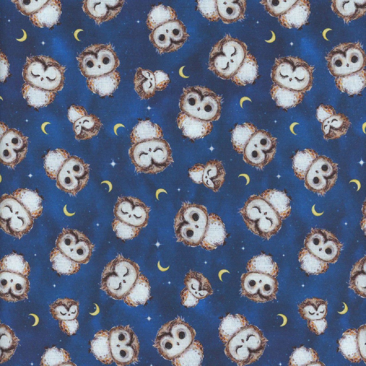 Owl Always Love You CD3296 Night