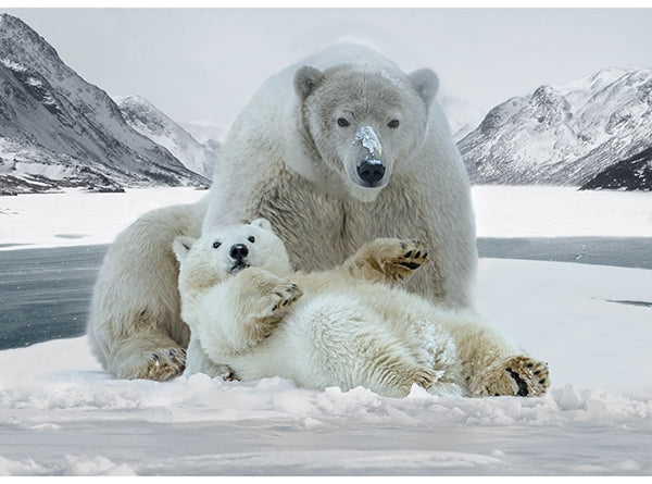 Call of the Wild Polar Bear Panel 25375-113