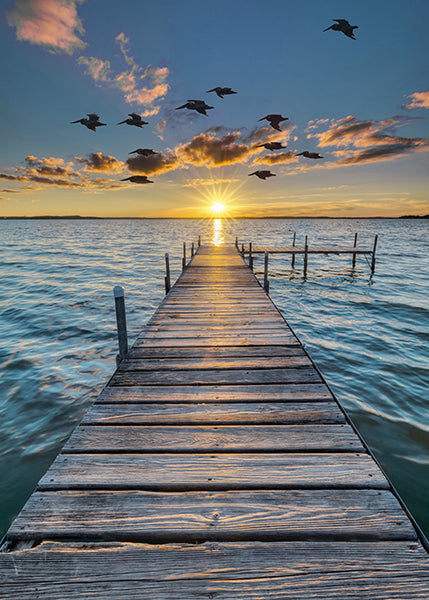 Call of the Wild Sunset Panel 25421-151