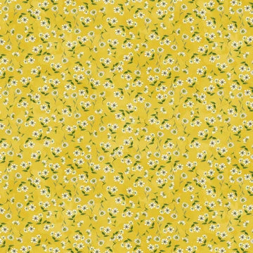 Sunflower Song Y4953 68
