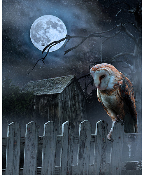 Moonshade Watch Panel