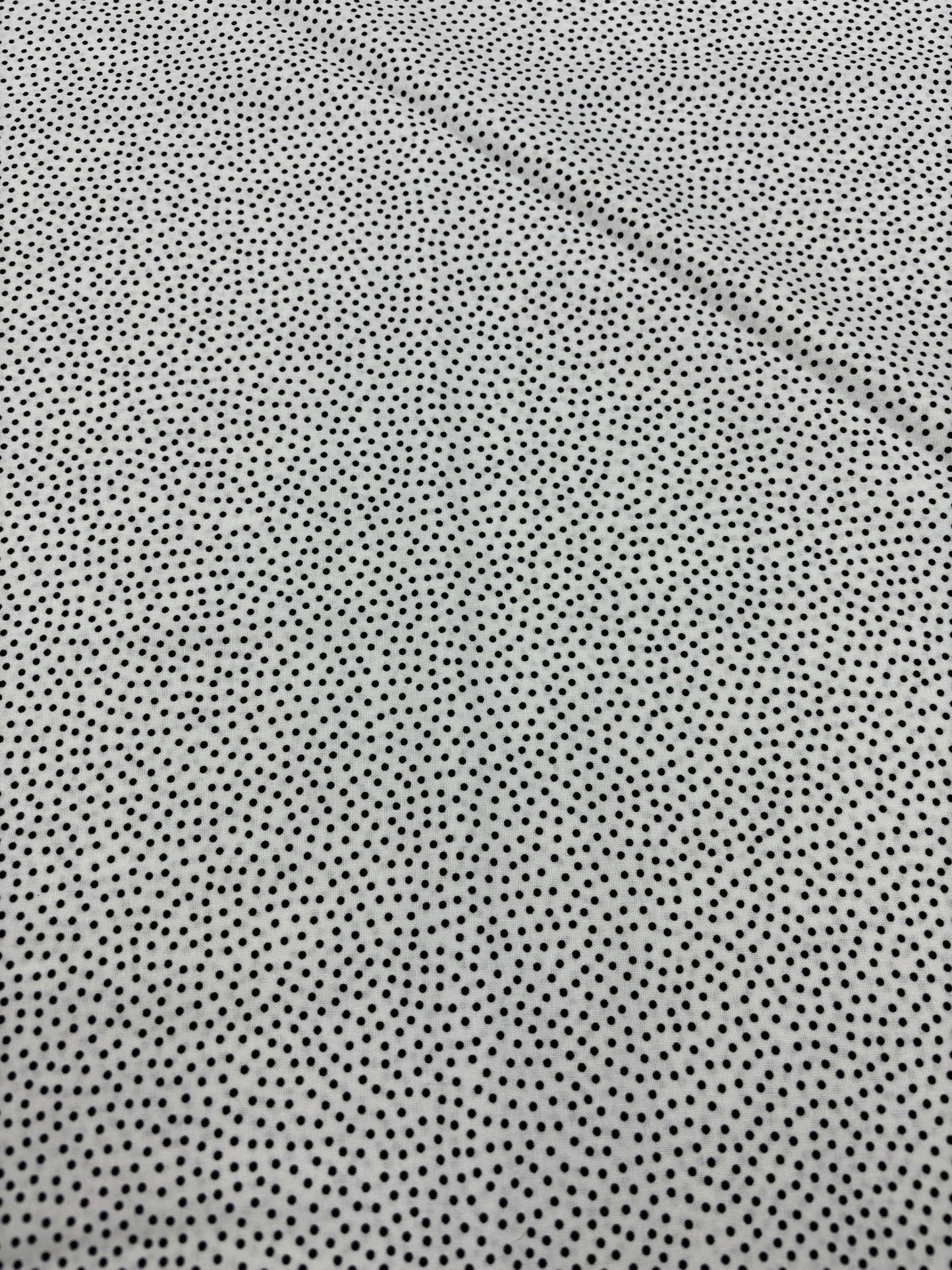 Confetti Dots 28 (White/Black)