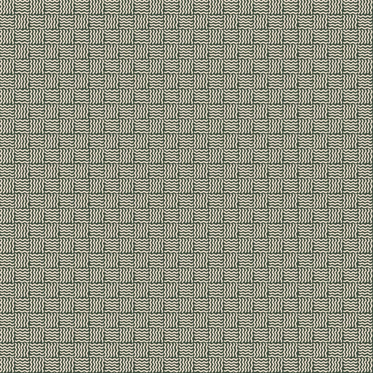 Savanna 304225-15 Cocoyam