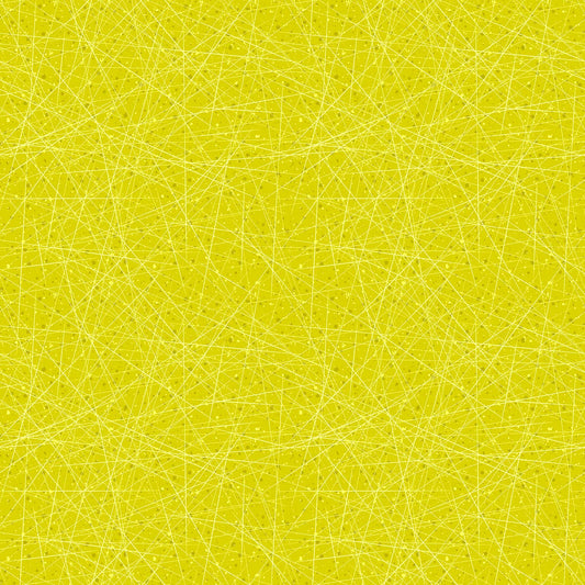 Fanfare 10332-70 Lichen