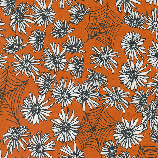 Noir 511541-24 pumpkin