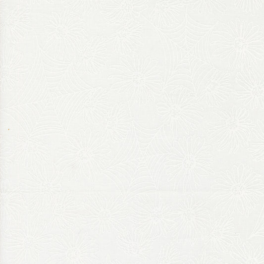 Noir 511541-31 Ghost white