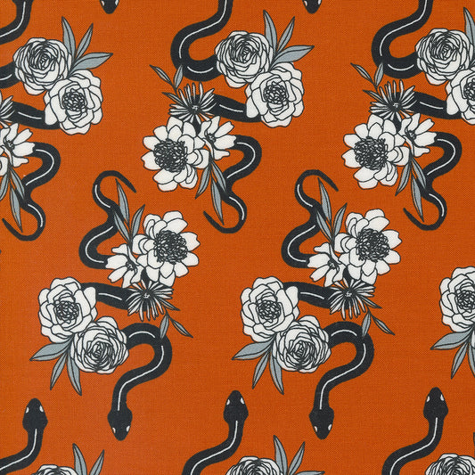 Noir 511542-14 pumpkin